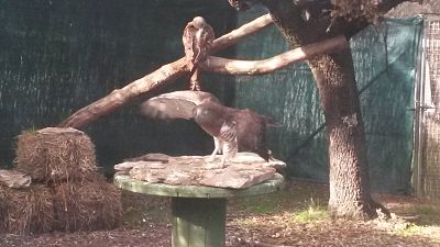 20141121_115218_opt