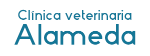 Clínica Veterinaria Alameda Clínica Veterinaria Alameda