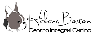 Habana Boston centro veterinario Habana Boston centro veterinario